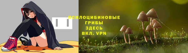 дмт Арсеньев