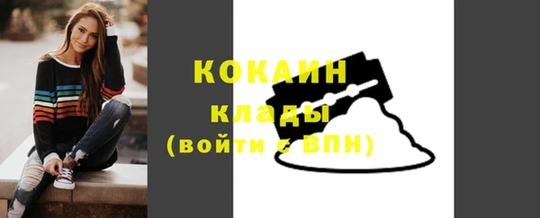 дмт Арсеньев