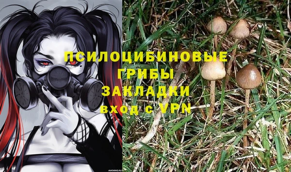 дмт Арсеньев