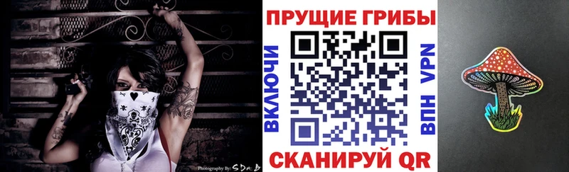 kraken онион  Исилькуль  Псилоцибиновые грибы Magic Shrooms 